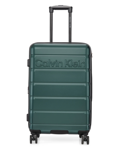 RIDGE-LINE Range Pearlized Sage Hard Medium Luggage